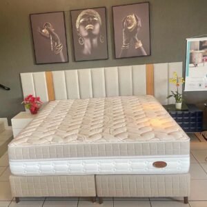 Conjunto Dual System
