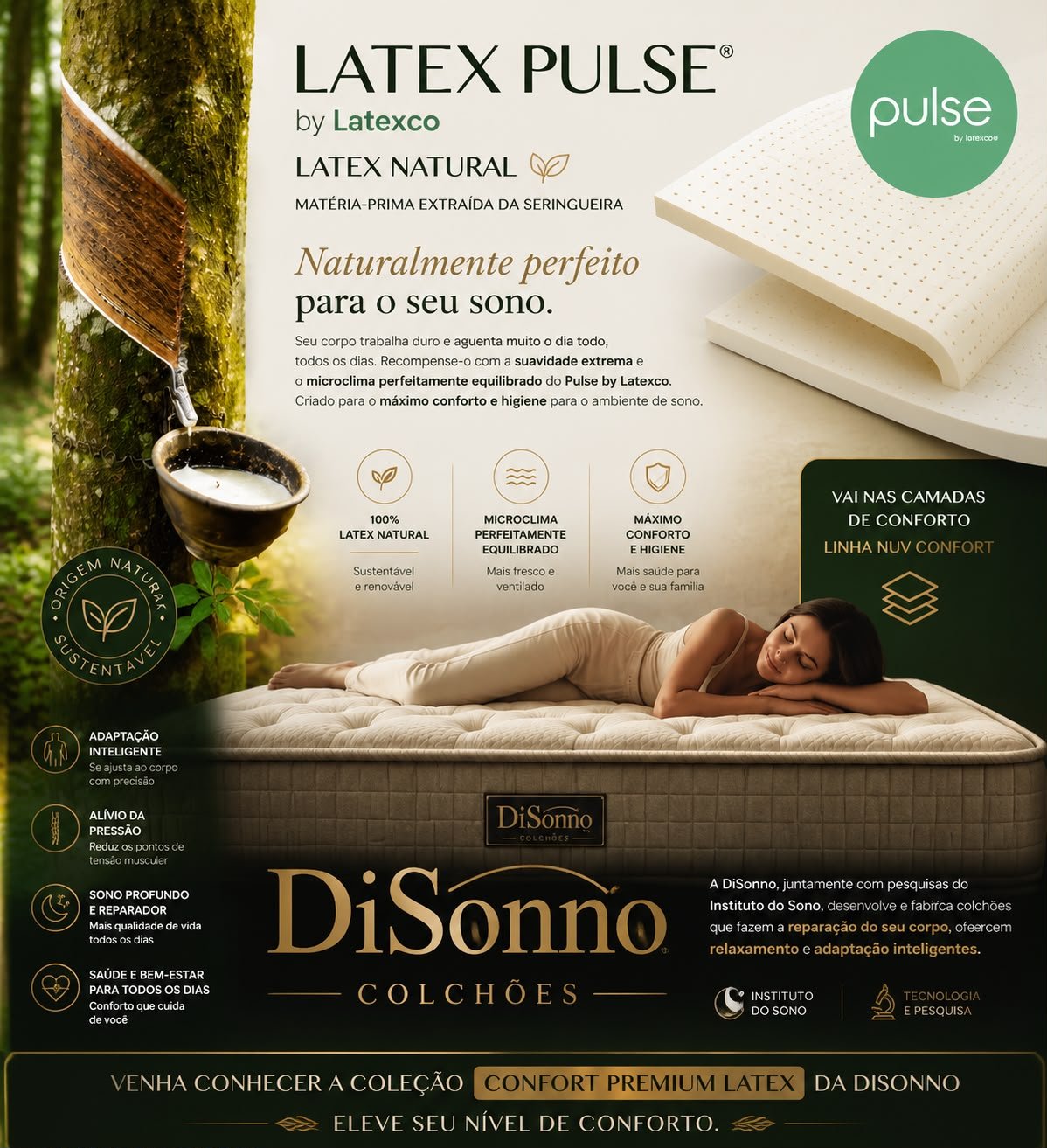 COLCHAO NUV LIV LATEX